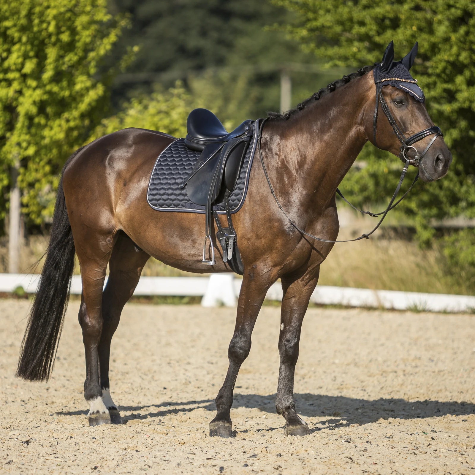 Horze Sandnes Dressage Saddle Pad - Dark Navy 4 Horze Sandnes Dressage Saddle Pad - Dark Navy - Image 2