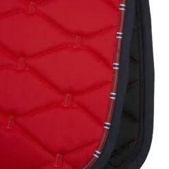 B Vertigo Amory All Purpose Saddle Pad - Barberry Red 9 B Vertigo Amory All Purpose Saddle Pad - Barberry Red -Equinavia Shop 96b0a325 9e2d 4077 bc48 d4367abc75e517409 BBPI 9fc2cbd76150b65cbd60be69f906a21b5df4220a