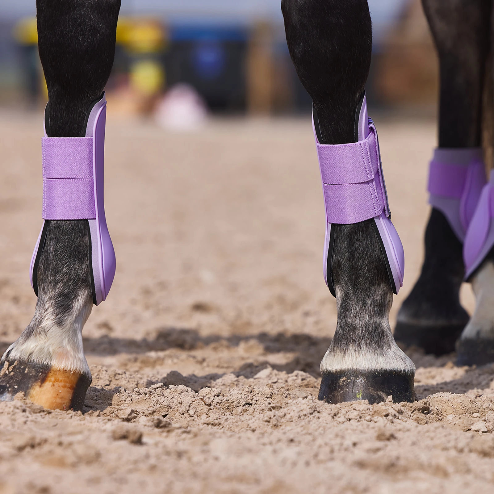 Horze Adepto Tendon Boots - Languid Lavender Purple 7 Horze Adepto Tendon Boots - Languid Lavender Purple - Image 5
