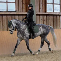 Horze Adepto Dressage Saddle Pad - Beetle Khaki Green -Equinavia Shop 9d3bed6e 3405 4c65 8087 ed0cc51c2f3d17353 BKGR 804ce4bcfc378b9c9275670789388d010750aac4