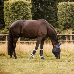 B Vertigo Quinn Brushing Boots - Dark Navy 15 B Vertigo Quinn Brushing Boots - Dark Navy -Equinavia Shop 9e1e4703 a754 4d98 ad08 a4425b463dcc19217 VDB 242aea7b5c4ad4d62172cb6cfb21e6184b40cf91