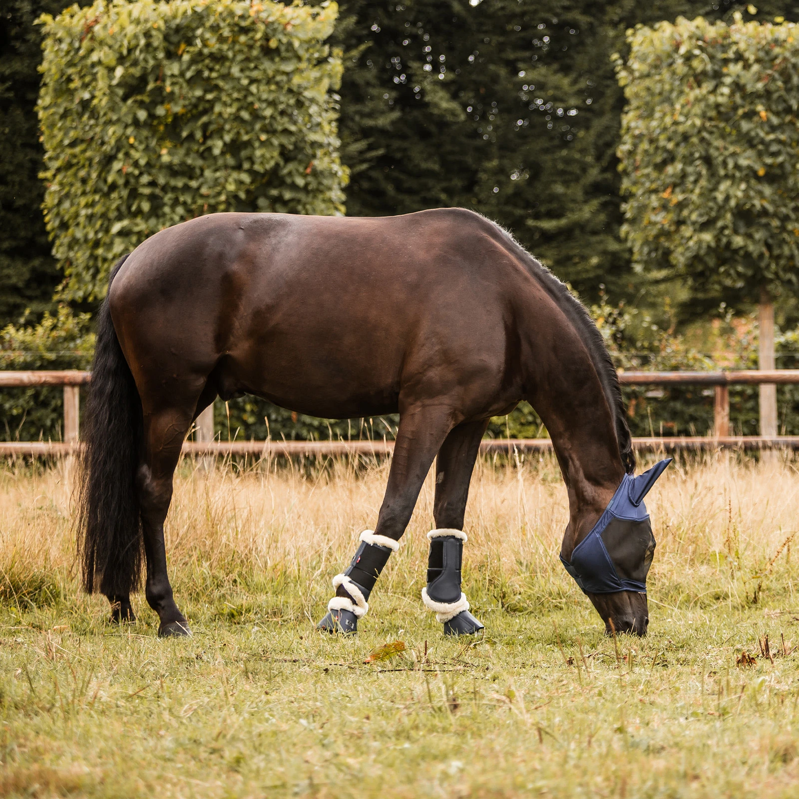 B Vertigo Quinn Brushing Boots - Dark Navy 7 B Vertigo Quinn Brushing Boots - Dark Navy - Image 5