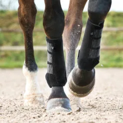 Horze ProSoft Boots - Front - Black 35 Horze ProSoft Boots - Front - Black -Equinavia Shop a344979d 1440 4c60 a19b e955ff37d47d19302 BL ae9db7788b682032ced192d8f21b59fd5ffb800e