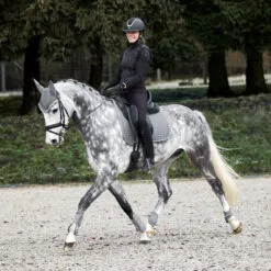 Horze Adepto Tendon Boots - Steel Grey -Equinavia Shop a56a92bb c7ac 4602 bba7 92e81eb33fdf19203 SG 143f219ce6803ea0492e31448b21d9fe02454bbf