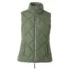 Horze Carola Womens Padded Vest - Beetle Khaki Green 2 Horze Carola Womens Padded Vest - Beetle Khaki Green -Equinavia Shop a5bcae1e 631e 4709 90c3 8301ef10a2ff33648 BKGR ebd2901ea3e8c1e258c45cfd744c1d9534dd870b
