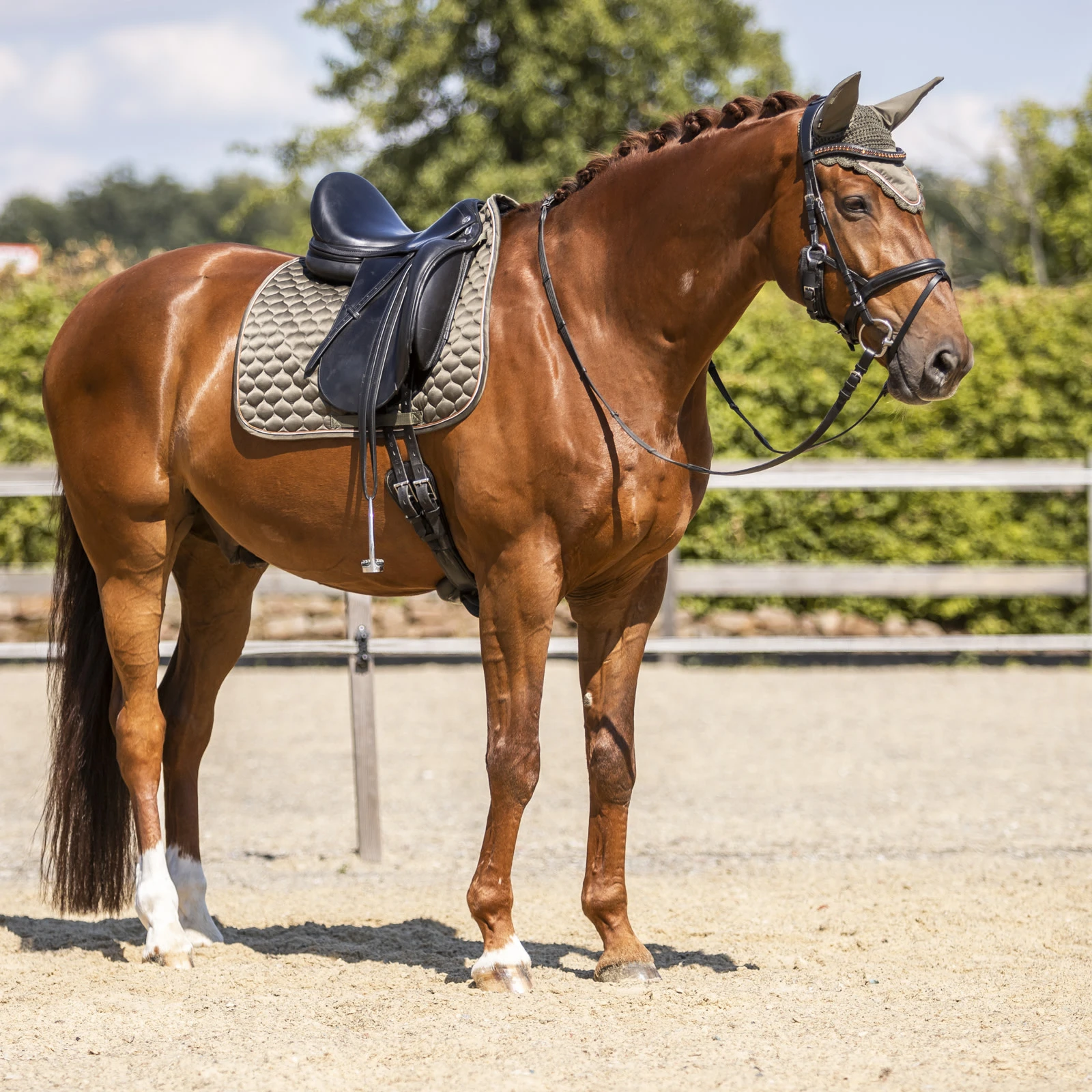 Horze Sandnes Dressage Saddle Pad - Dark Olive 5 Horze Sandnes Dressage Saddle Pad - Dark Olive - Image 3