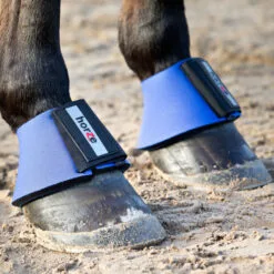 Horze Pro Bell Boots - Blue -Equinavia Shop b0edce8d 9e63 498a 822c 26199838f85a19764 B 9f247bcdd2c4dae842e457689ef0b5a45e31c40f