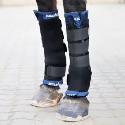 Horze Stable Boots Pro - Rear - Black -Equinavia Shop b4da0552 1eb2 4e48 8a92 4d0eb6e52e0f19409 BL e0c0410977d1dfa36b1fee7959c98ea39322f1bb