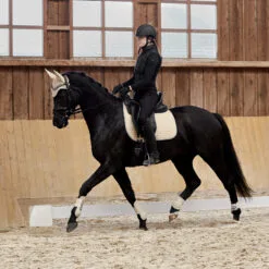 Horze Adepto Tendon Boots - Safari Brown 26 Horze Adepto Tendon Boots - Safari Brown -Equinavia Shop becff607 16c2 4b8f 8cf2 7e6e5fa92e3519203 SBR b3fd8efc43231aa88d94efeb0516f6c546b0ab12