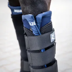 Horze Stable Boots Pro - Front - Black -Equinavia Shop bfab0a89 29d5 4b2a 83ce a62200000d6319402 BL f7993ef3435d8f22620dec8d50b7cd22f6b4afce