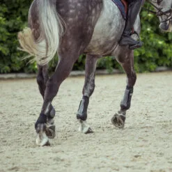 Horze Impact Air Shock Tendon Boots - Black 24 Horze Impact Air Shock Tendon Boots - Black -Equinavia Shop c2984850 7c2a 4ead ba2a 917880c7241719243 BL c72104cabc74c532de1d199ea4499c3b3a523226