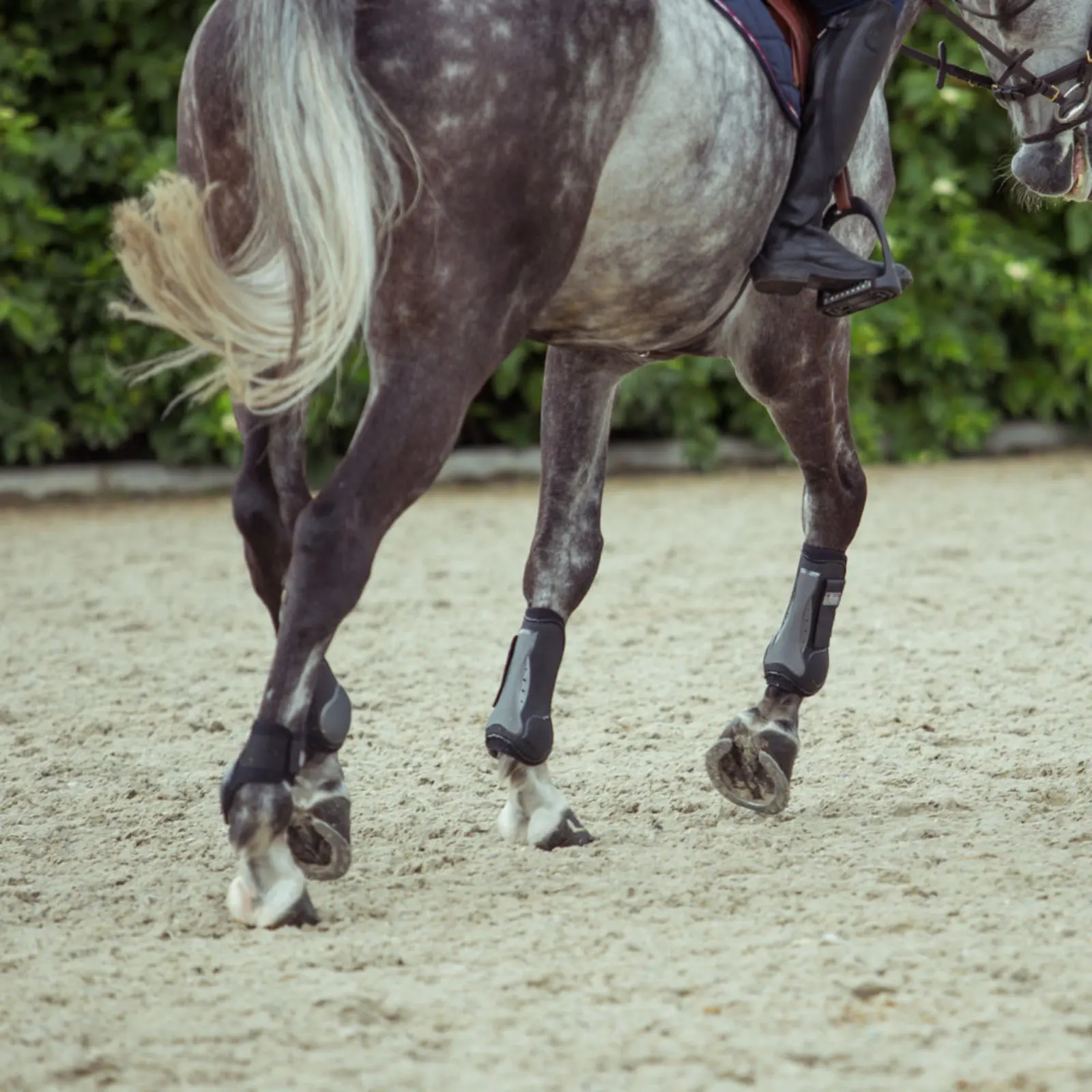 Horze Impact Air Shock Tendon Boots - Black 13 Horze Impact Air Shock Tendon Boots - Black - Image 11