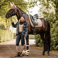 B Vertigo Quinn Dressage Saddle Pad - Shiitake Beige 10 B Vertigo Quinn Dressage Saddle Pad - Shiitake Beige -Equinavia Shop c66bfbc1 be73 46e2 8347 e700beb598ac17437 SBE 50049470b621d00dd71783d1a4e6cdd99350f207