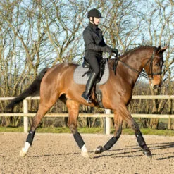 Horze Impact Flexi Strike Guard Boots - Front - Black 9 Horze Impact Flexi Strike Guard Boots - Front - Black -Equinavia Shop c7968aff 94b8 4888 a1a5 975cc9f3eae719247 BL 1ed6015d9ce53b06bd8babd6f25c415a3f051020