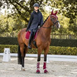 Horze Isabella Womens 3-in-1 Jacket - Black 21 Horze Isabella Womens 3-in-1 Jacket - Black -Equinavia Shop cb467e01 d9ec 4282 9a1f e157831e048033632 BL fc259461219bb42fd2770d09490f0521f974a8d7