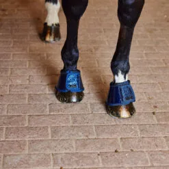Horze Bell Boots With Glitter - Dark Blue -Equinavia Shop cf2e4a09 f3b0 4cbd aef9 b9b1284c645319714 DB f09fdb4b03a751a54b6b41c352d8082753b79dcb