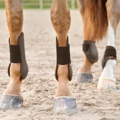 Horze Chicago Tendon Open Front Horse Boots - Chocolate Brown 32 Horze Chicago Tendon Open Front Horse Boots - Chocolate Brown -Equinavia Shop d21b0e70 4a79 4870 8692 164e1b2792f919415 CBR 731ee7d3c645374c0d912e56cf2ce55c0c8e5f79