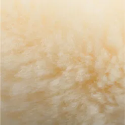 Horze Salerno Sheep Skin Bell Boots - Black 20 Horze Salerno Sheep Skin Bell Boots - Black -Equinavia Shop d9b3e167 e544 46c5 9b67 6a5a45c3488f19771 BL f29ce8127af51d7f0c9084df75a9d144d84373fb