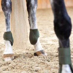 Horze Adepto Fetlock Boots - Beetle Khaki Green 27 Horze Adepto Fetlock Boots - Beetle Khaki Green -Equinavia Shop db5a7632 e779 42f6 97bd 27c080f10c4819213 BKGR a99143e19879de255f2b7271504e8f9ab78bc22f