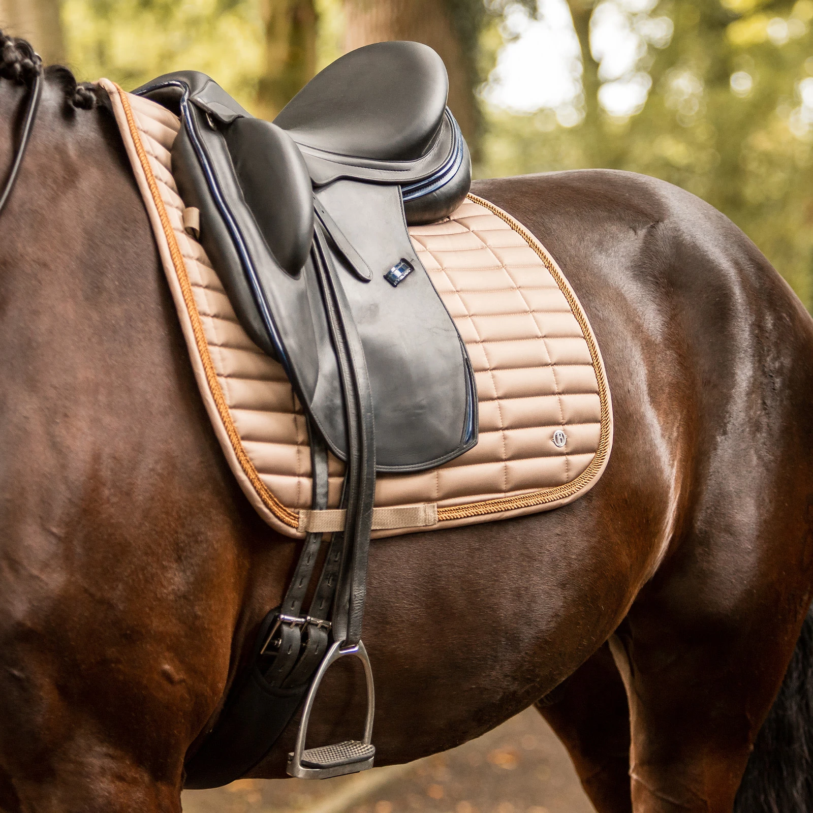 B Vertigo Quinn Dressage Saddle Pad - Shiitake Beige 6 B Vertigo Quinn Dressage Saddle Pad - Shiitake Beige - Image 4