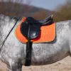 Horze Adepto All Purpose Saddle Pad - Coral Gold -Equinavia Shop e33b36c3 f4a0 48f9 aee5 0f4024f6b2ef17343 CGO 8c859b909c9c610f2fa0309df4fed41e58ce4d34 6