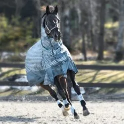 Horze Chicago Tendon Open Front Horse Boots - Cashmere Blue 19 Horze Chicago Tendon Open Front Horse Boots - Cashmere Blue -Equinavia Shop e5a60952 084d 482a bf90 5dd8824a413719415 CBLB 922ff6e7dc2a29622a08f8d8a037a43d29d86922