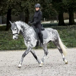 Horze Adepto All Purpose Saddle Pad - Steel Grey 22 Horze Adepto All Purpose Saddle Pad - Steel Grey -Equinavia Shop e8f1a8ce da2c 4c5f ae6a 66971713466717343 SG d1a4d5053f3cbf96949931eddc980208996eaee5