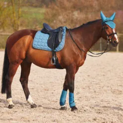 Horze Marquess Dressage Saddle Pad - Aegean Blue -Equinavia Shop e920ba1a 064d 4b3f 99f3 a1c43a42a9c817354 AGNB d2b4952ad00c9de44f0018618faa18cc9540ef86