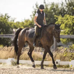 Horze Anne Womens Padded Vest - Dark Navy 18 Horze Anne Womens Padded Vest - Dark Navy -Equinavia Shop eafe9a8e 8c61 4056 b1c9 25242946a7c333627 VDB f0efcf0369251125c80b55a5bf70d4f0ace85c2e