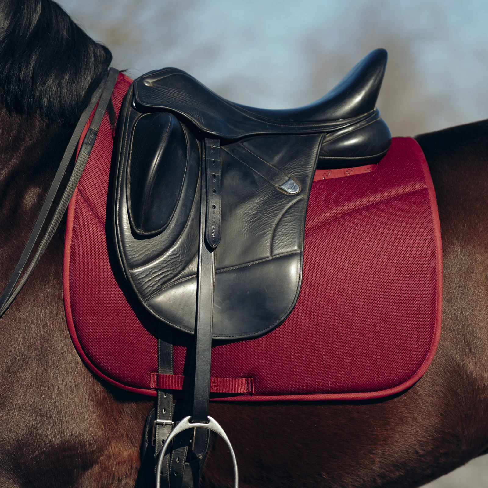 Horze Phoenix Dressage Saddle Pad - Anemone Dark Pink 7 Horze Phoenix Dressage Saddle Pad - Anemone Dark Pink - Image 5