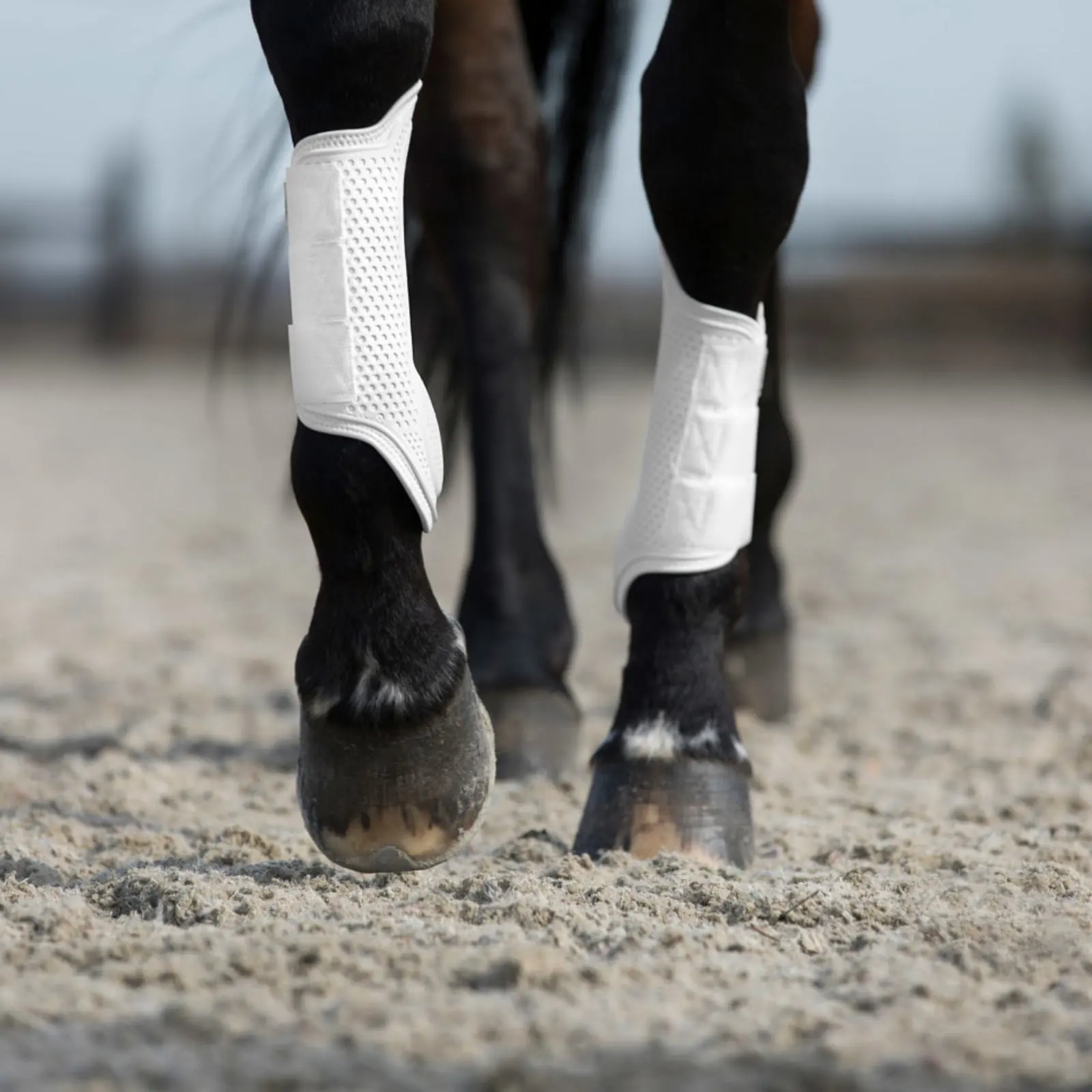 Horze Anchor Hybrid Splint Boots - White 6 Horze Anchor Hybrid Splint Boots - White - Image 4