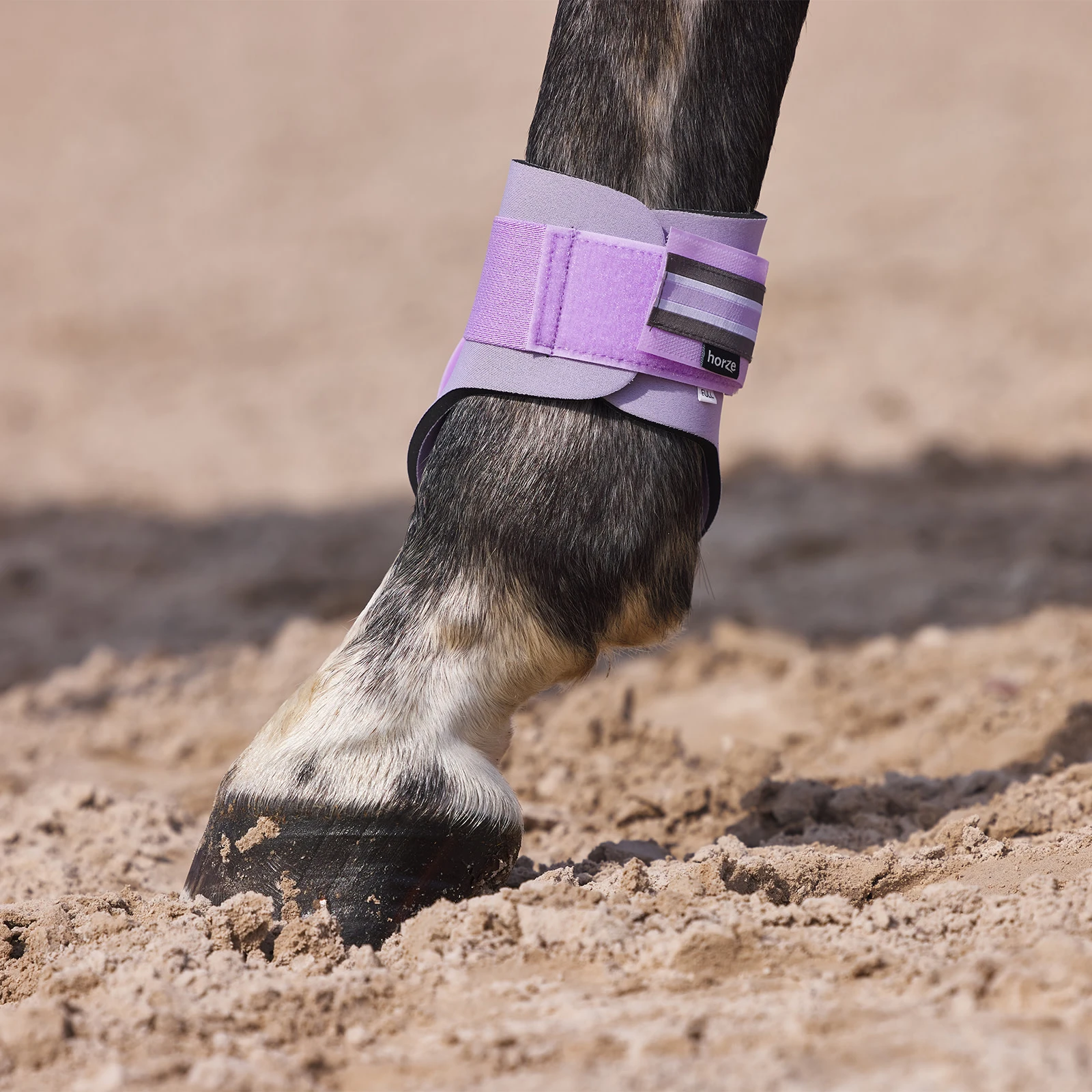 Horze Adepto Fetlock Boots - Languid Lavender Purple 8 Horze Adepto Fetlock Boots - Languid Lavender Purple - Image 6