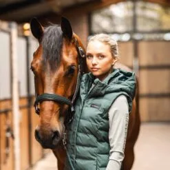 B Vertigo Celeste Womens Waterproof Vest - Jungle Green 19 B Vertigo Celeste Womens Waterproof Vest - Jungle Green -Equinavia Shop f128da26 6138 4f5f 860d 41233dc4b3e533693 JGR 54edd467ec94244db42abc18de9515482618c82c