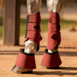 Horze Noir Brushing Boots - Rhubarb Dark Red 11 Horze Noir Brushing Boots - Rhubarb Dark Red -Equinavia Shop f4ebdf97 3000 422d 9a3a 7ba4e3d027f819254 RRE 80b6e9245ea2ece7cf4e7a0e72b79621a7614da9
