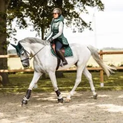 B Vertigo Evolve Jumping Pad With Anti Slip Padding - Jungle Green 19 B Vertigo Evolve Jumping Pad With Anti Slip Padding - Jungle Green -Equinavia Shop f86658b6 2d46 476f b28e 82d14a9fd06517445 JGR d0ae035f7047e086d74c51905576237d8c3913f8