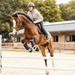 Horze Terrazzo Fleece Lined Brushing Boots - Dark Navy 14 Horze Terrazzo Fleece Lined Brushing Boots - Dark Navy -Equinavia Shop f8b5126e f492 4cb0 8953 2c06c5c50eea19278 VDB cda217e4b73a48016db59d9342a8f935976bb9e4