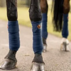 B Vertigo Lexi Fleece Polo Wraps - Reflecting Pond -Equinavia Shop fa057ffa cf34 4428 bbff 21237f98bfa818265 RPBL 10d5ef29b671ab5143b1b95424182e702db433e9