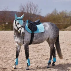 Horze Adepto Fetlock Boots - Canal Blue 19 Horze Adepto Fetlock Boots - Canal Blue -Equinavia Shop fa20734b d888 4964 a829 e59d3eb1771719213 CNLB d1c5caa9bfb0bcefcaebb42ef9678ad53ba93b0b