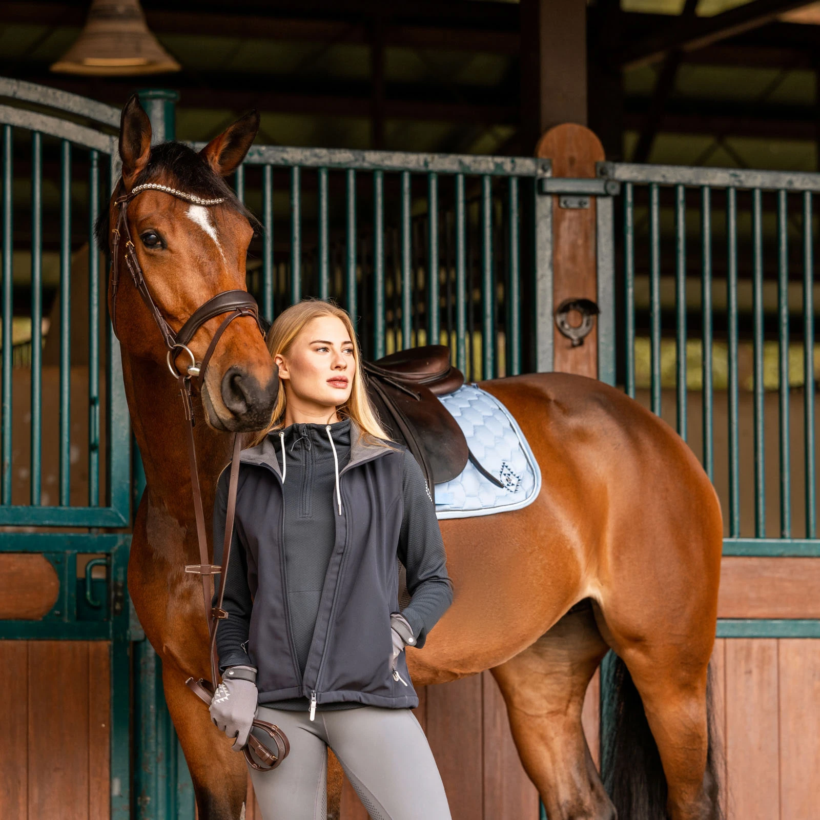 Horze Trisha Womens Softshell Vest - Dark Navy 11 Horze Trisha Womens Softshell Vest - Dark Navy - Image 9