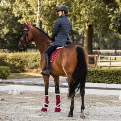 Horze Isabella Womens 3-in-1 Jacket - Black 19 Horze Isabella Womens 3-in-1 Jacket - Black -Equinavia Shop ffe6e733 cb20 40f5 8f6a 251400b8492c33632 BL 2e1b9438e3b51e126ce0c024a2f253d51787bd01